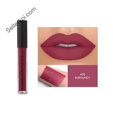 Focallure Waterproof Matte Liquid Lipstick 02 Burgundy (Fa24) (3.2gm)